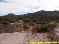 Parras de La Fuente